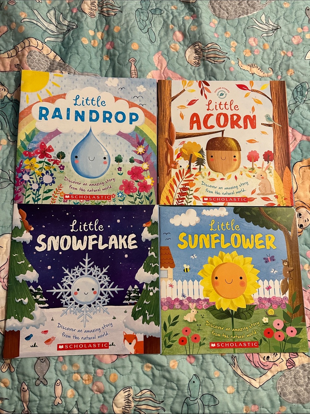 4 book set Little Raindrop, Little Acorn, Little Sunflower, Little Snowflake